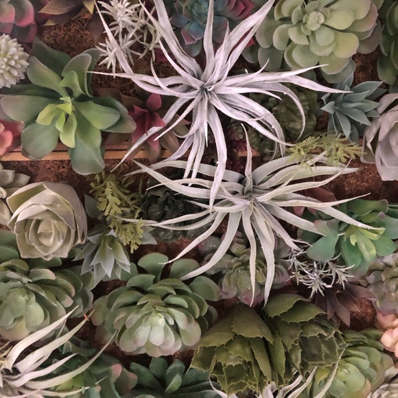 Pottery Barn Faux Succulent Wall Art Large - Picture 9 of 10